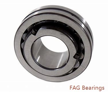 FAG 202SS3  Precision Ball Bearings