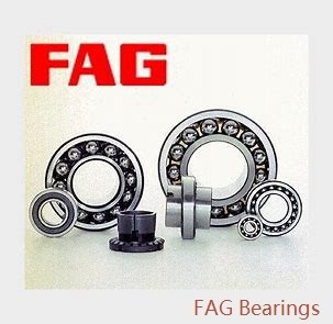 FAG 111HCDUL  Precision Ball Bearings