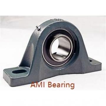 AMI MUCHPL206-20RFCW  Hanger Unit Bearings
