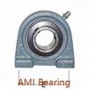 AMI MUCHPL206-18RFCW  Hanger Unit Bearings