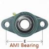AMI UELX205-16MZ20B Flange Block Bearings