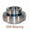 AMI MBFX205-16  Flange Block Bearings