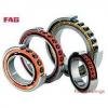 FAG 22222-E1-C3  Spherical Roller Bearings
