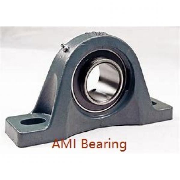 AMI BNFL6-20CW  Flange Block Bearings #1 image