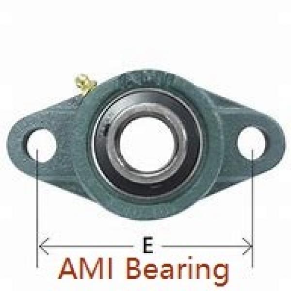 AMI SER201  Insert Bearings Cylindrical OD #2 image
