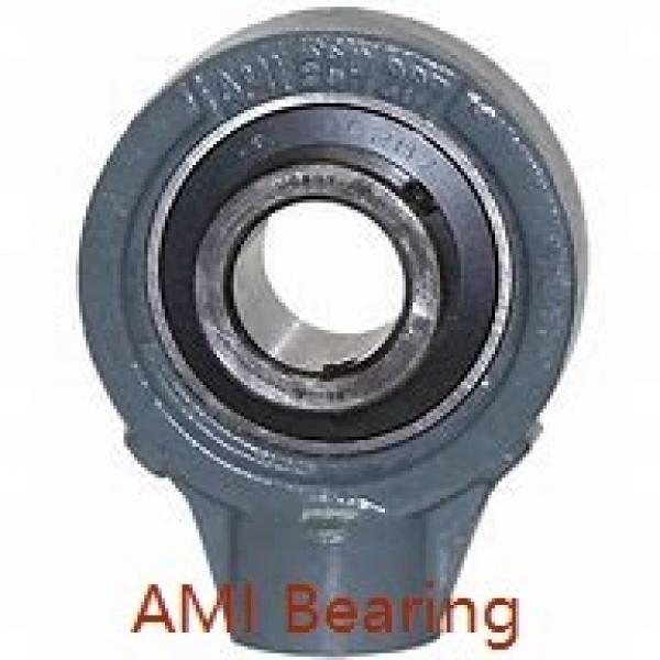 AMI MUCHPL206-20RFCW  Hanger Unit Bearings #1 image