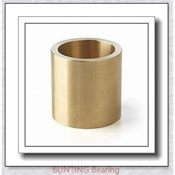 BUNTING BEARINGS AAM045055050  Plain Bearings #1 image