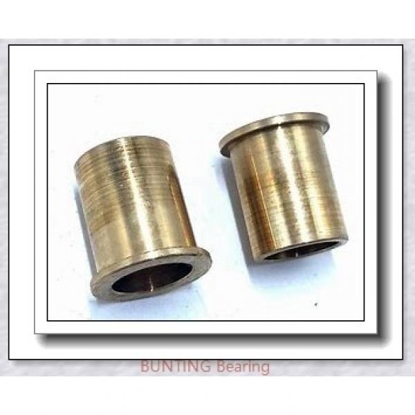 BUNTING BEARINGS BJ2S121604 Bearings #1 image