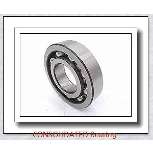 CONSOLIDATED BEARING NU-2205E P/6  Roller Bearings #1 image