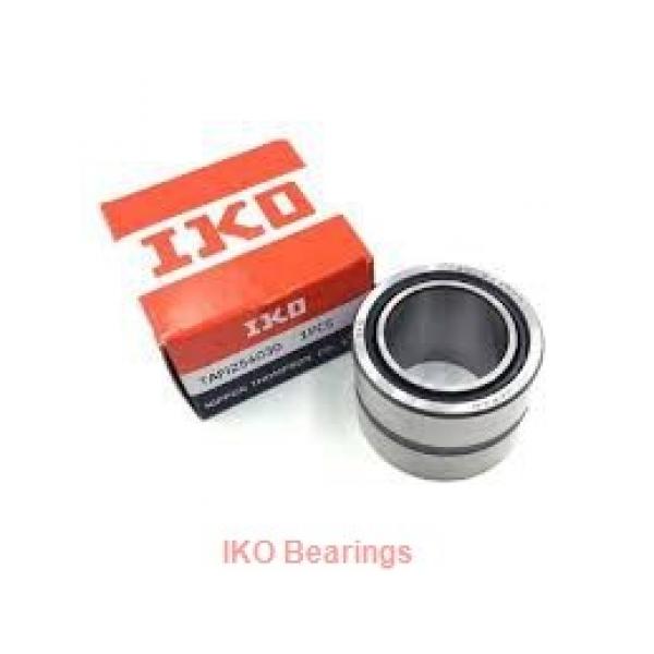 2.559 Inch | 65 Millimeter x 3.937 Inch | 100 Millimeter x 1.811 Inch | 46 Millimeter  IKO NAS5013ZZNR  Cylindrical Roller Bearings #2 image