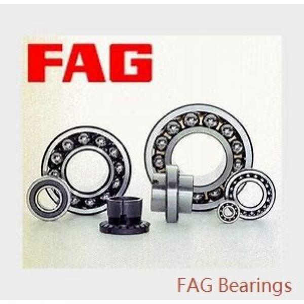 FAG NU206-E-M1A-C3  Cylindrical Roller Bearings #3 image